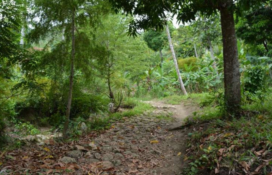 Pic la Selle, La Visite National Park, Ouest Dept., Haiti